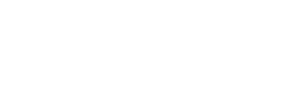 Fish4Flies